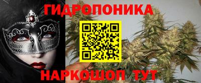 гашик Свободный
