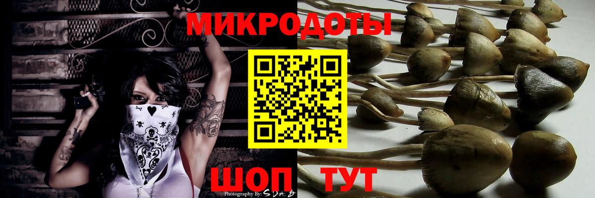 Псилоцибиновые грибы Psilocybine cubensis  Галлюциногенные грибы ЛСД  Вход с VPN  Ростов Великий 